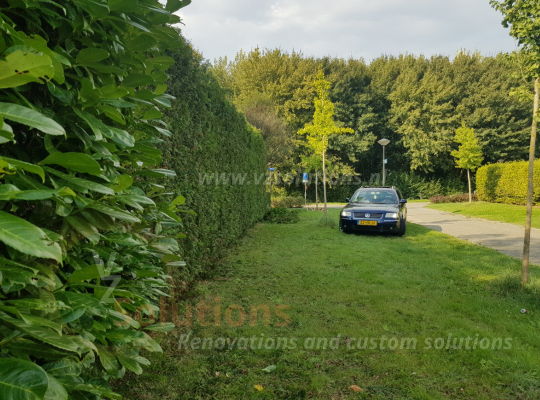 #011 - Garden projects - VZ Solutions - Renovations and custom solutions - Conifeer maintenance